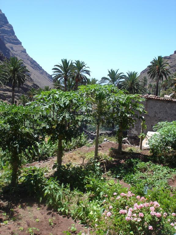 Goyo Gomera Apartments Valle Gran Rey Exterior photo