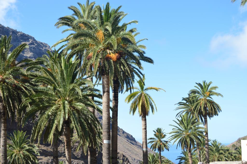 Goyo Gomera Apartments Valle Gran Rey Exterior photo