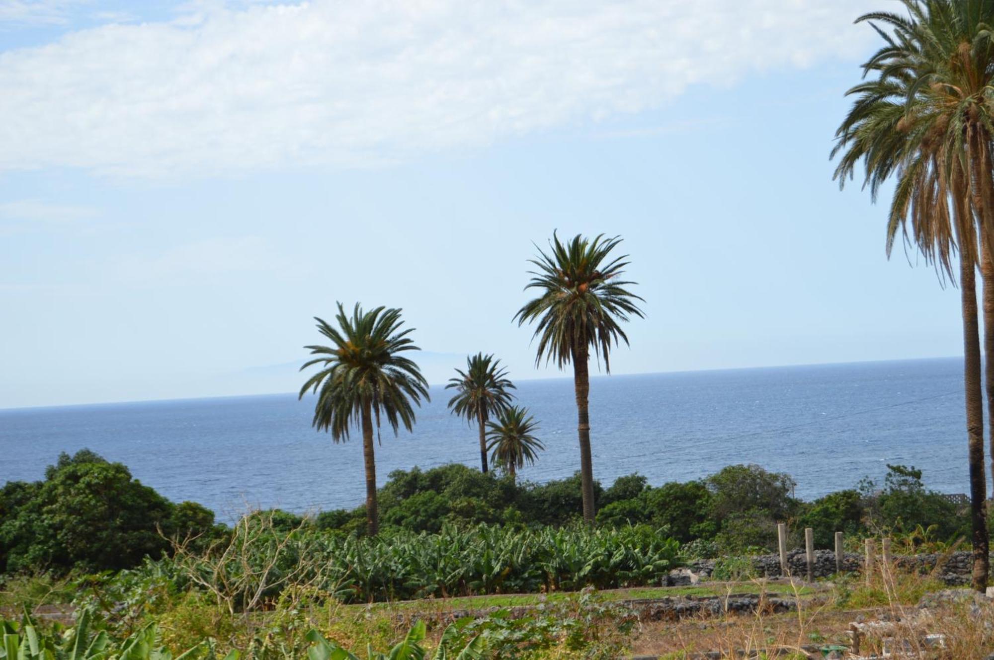 Goyo Gomera Apartments Valle Gran Rey Exterior photo