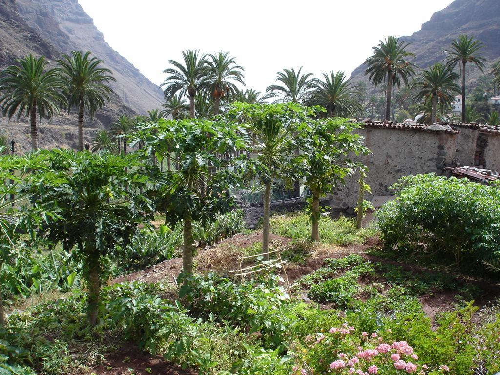 Goyo Gomera Apartments Valle Gran Rey Exterior photo