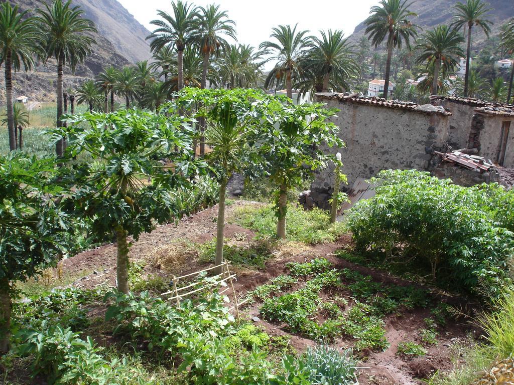 Goyo Gomera Apartments Valle Gran Rey Exterior photo