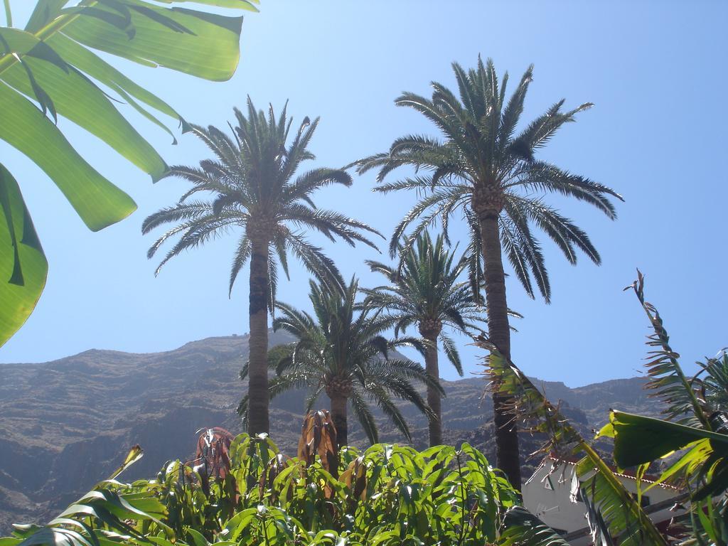 Goyo Gomera Apartments Valle Gran Rey Exterior photo