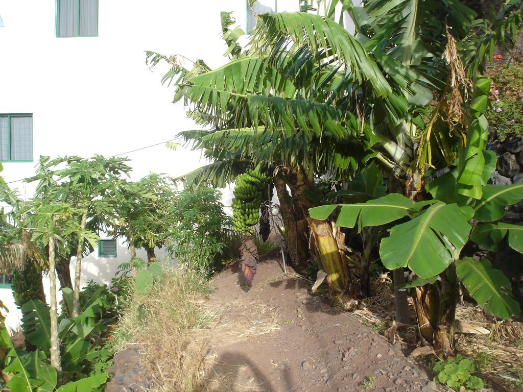 Goyo Gomera Apartments Valle Gran Rey Exterior photo